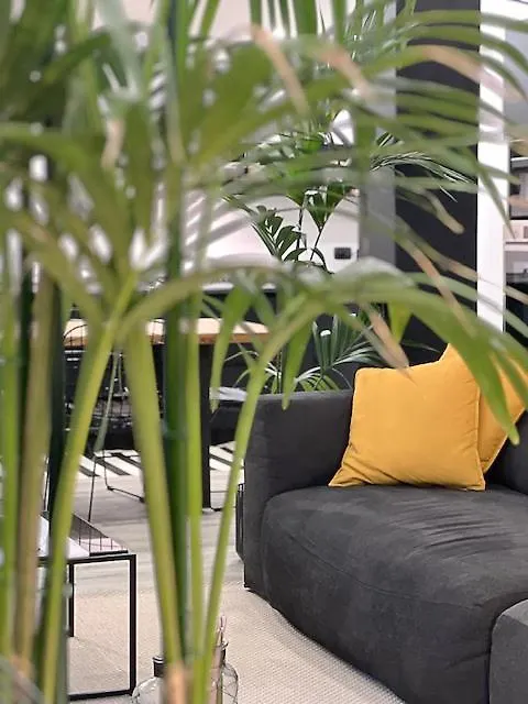 Civico 8 Apartment غيراسول